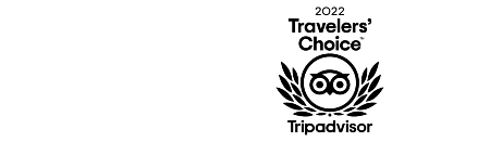 A simple outline of a cat's head.