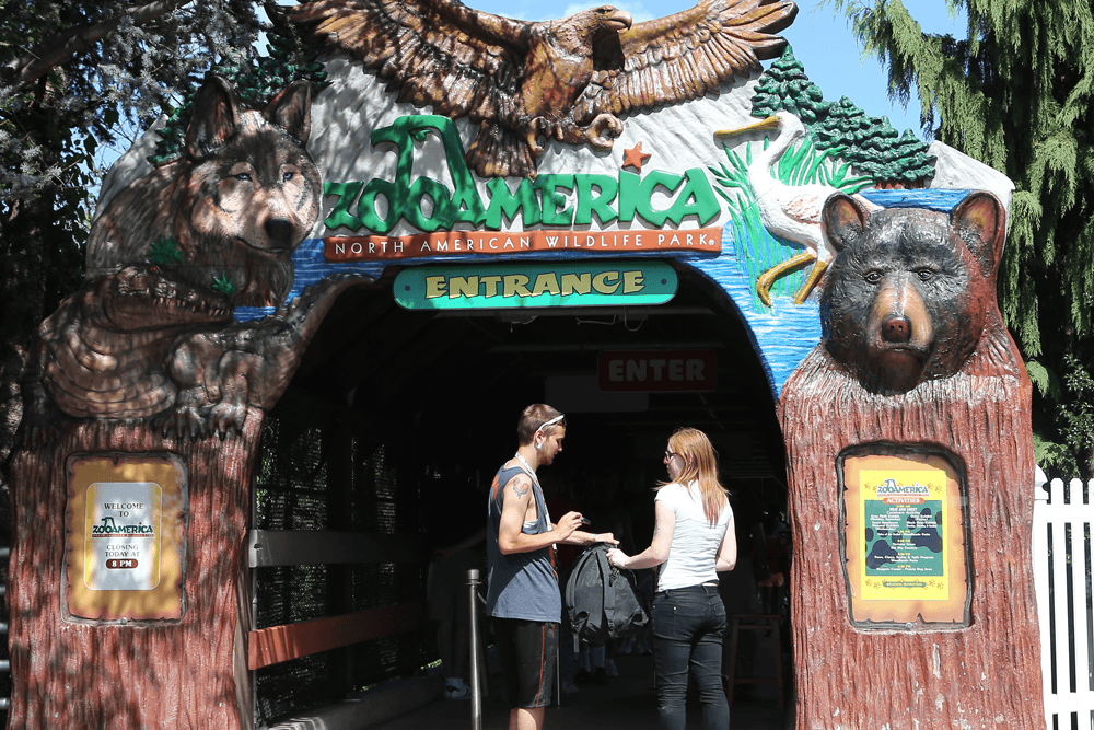 A couple stands at the entrance of ZooAmerica, featuring sculptures of a wolf and a bear above the entrance sign.