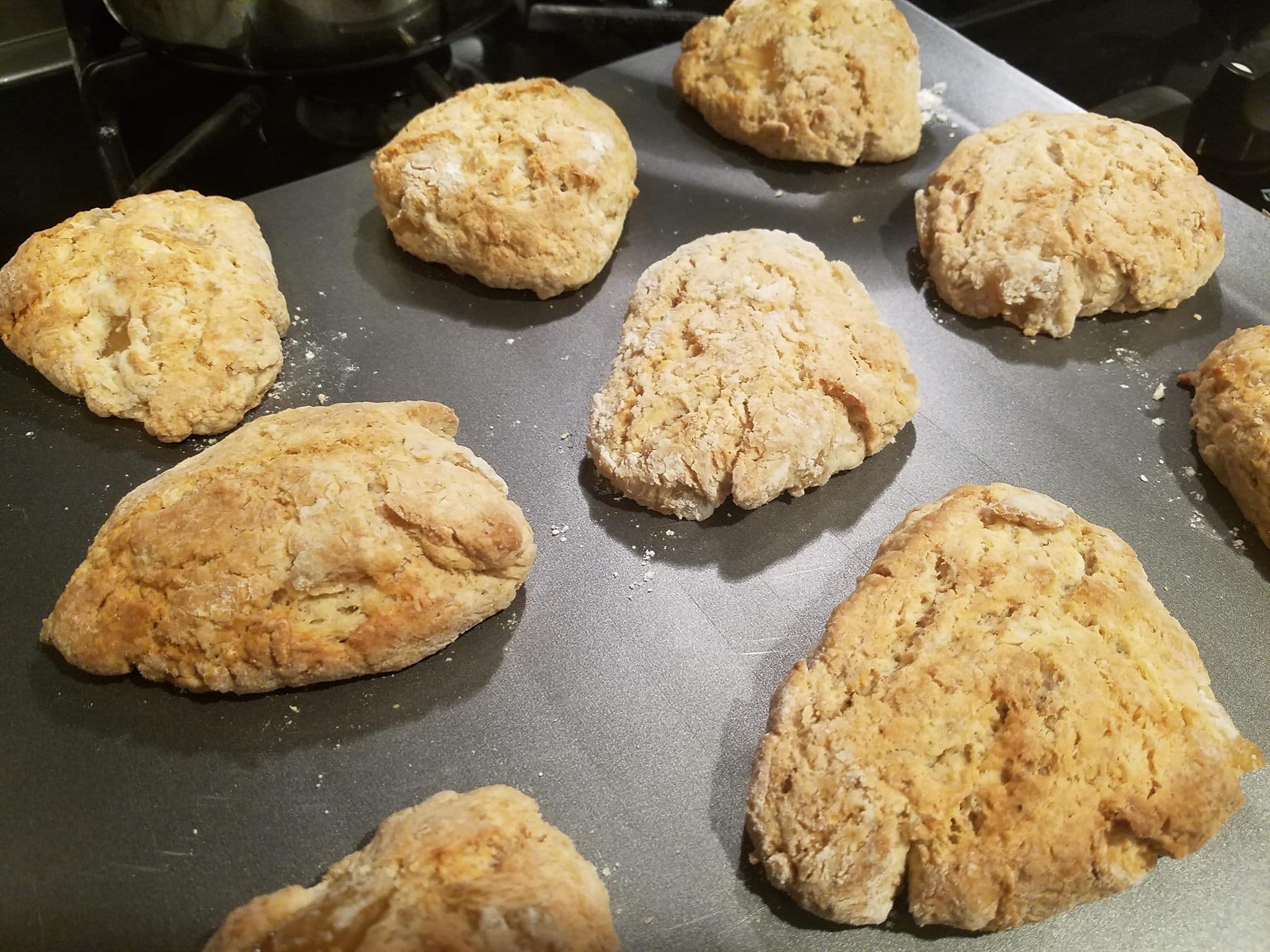 Freshly-baked scones come out of oven on tray