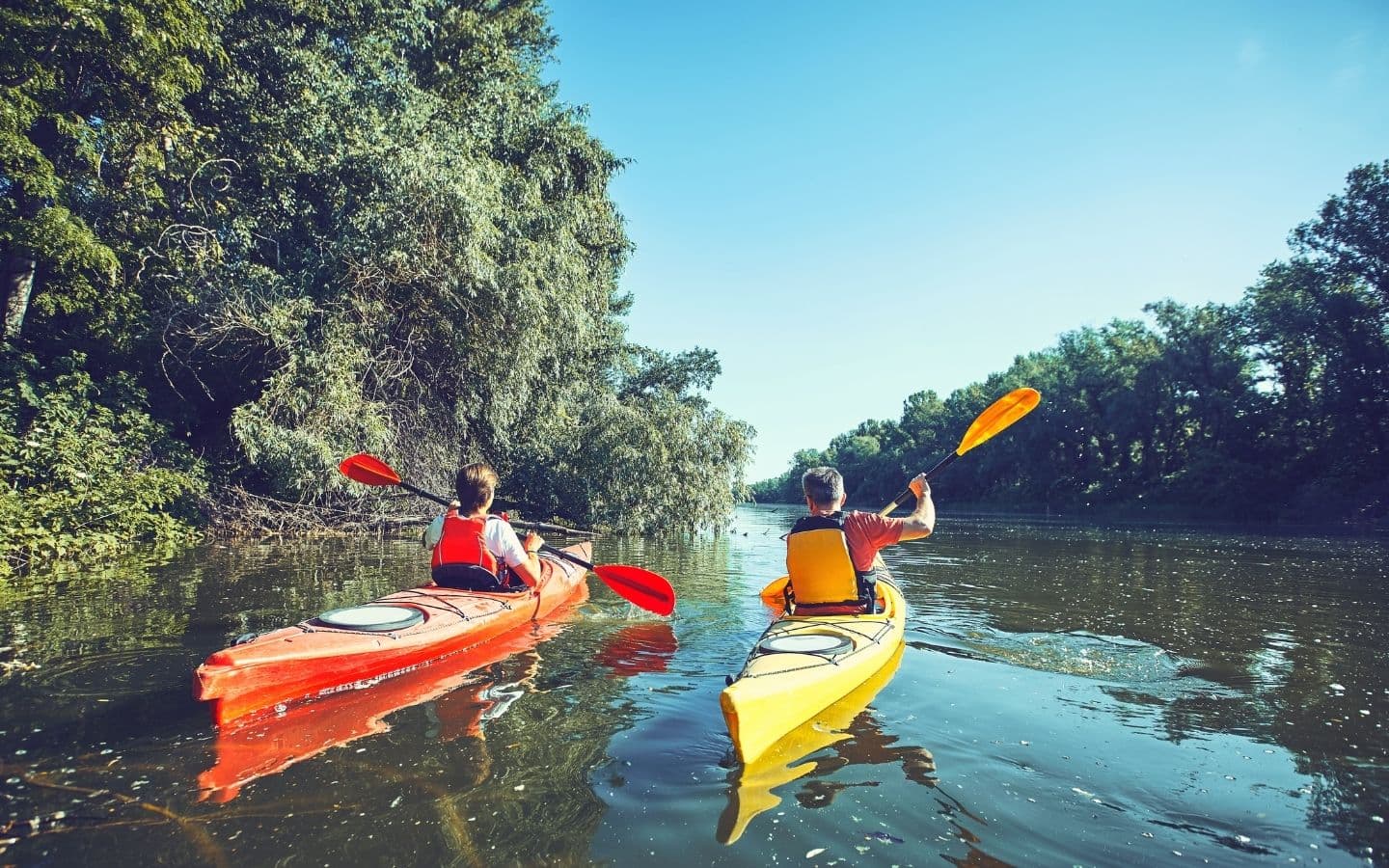 Couple kayaking down the river surrounded by lush greenery Couple kayaking down the river surrounded by lush greenery