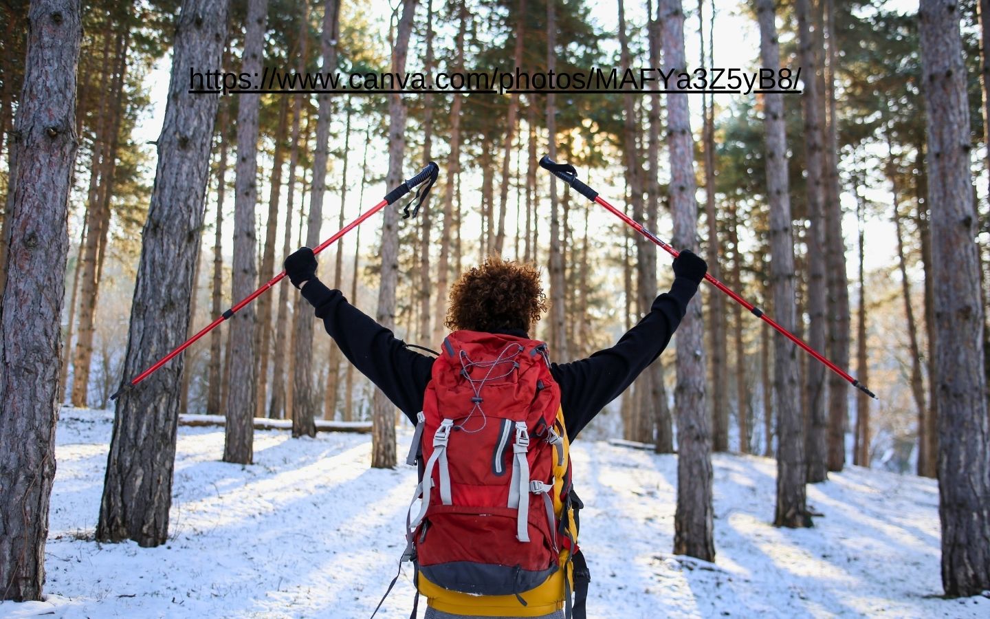 woman hiking through snowy forest