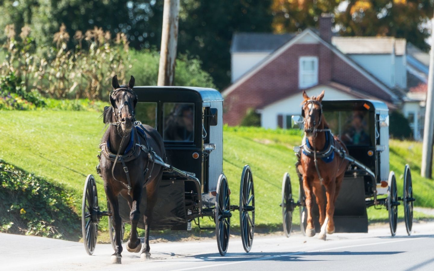 amish country driving tour